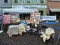 Pirna 2012