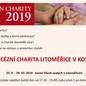 Diecézní charita Litoměřice v kostce